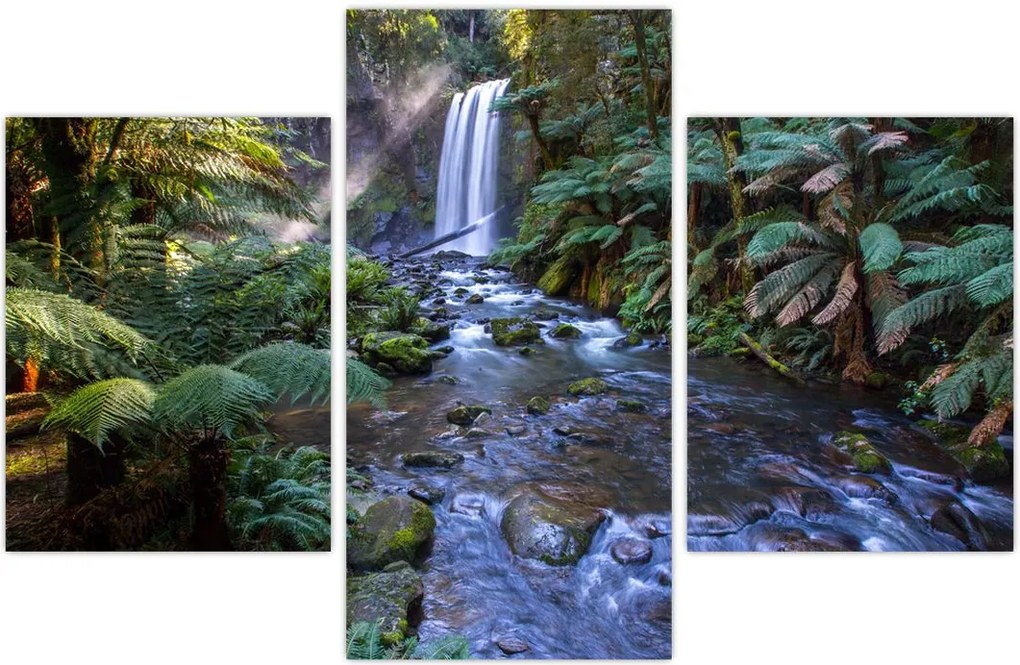 Tablou cu pădurea ploilor din Austalia (90x60 cm)