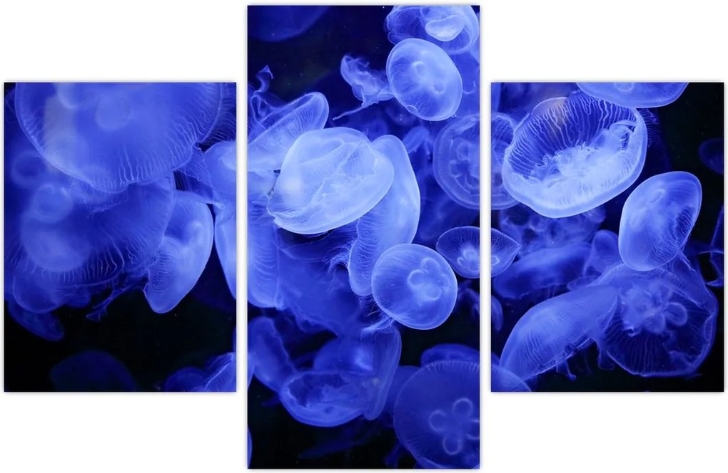 Tablou - Meduză (90x60 cm)