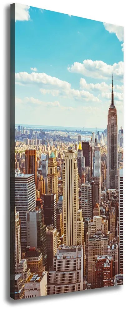 Print pe pânză New York pasăre de zbor