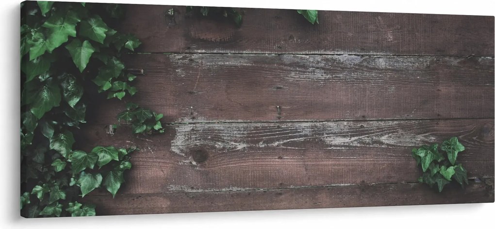 Tablou - Lederă (120x50 cm)