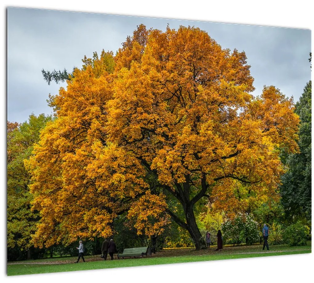 Tablou cu copac (70x50 cm)