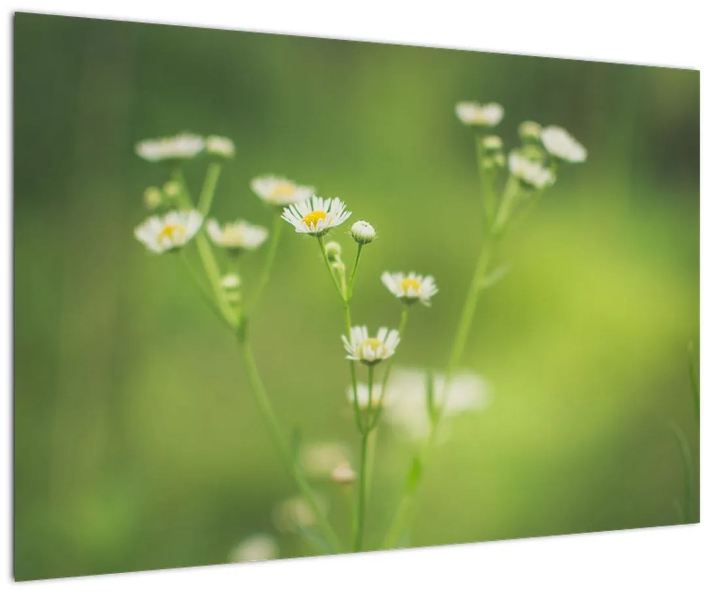 Tablou - Margarete (90x60 cm)