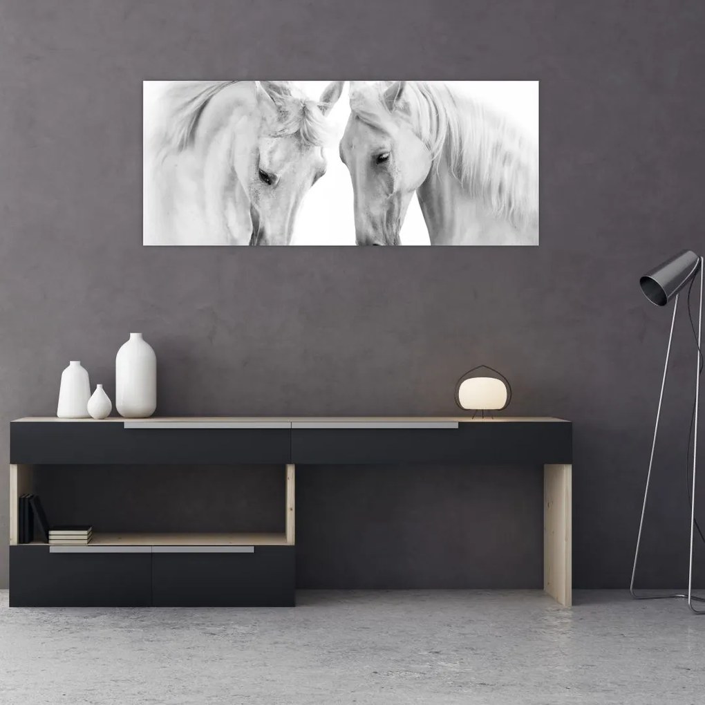 Tabou - Cai albi (120x50 cm)