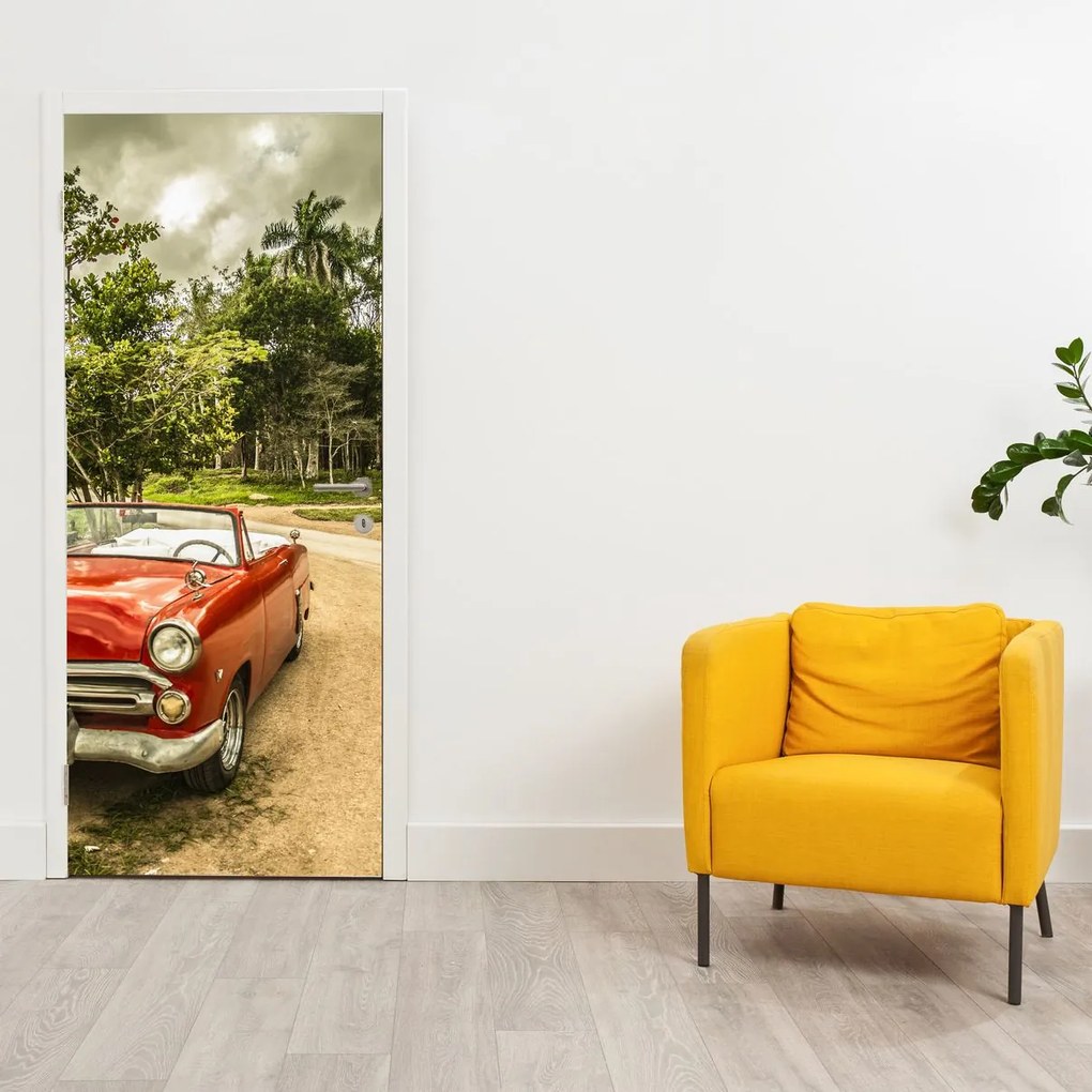Fototapet pentru ușă - Mașină în natură (95x205cm)
