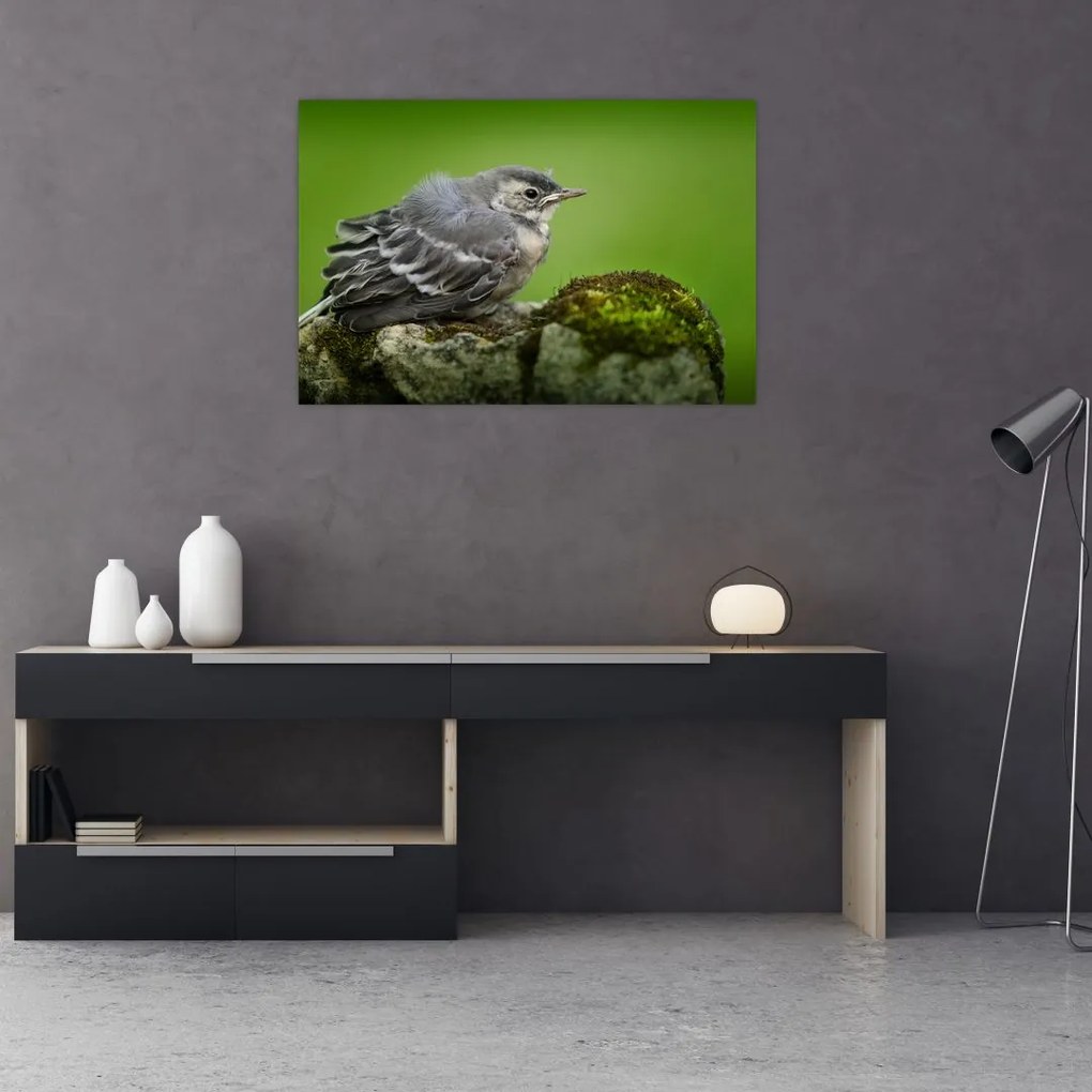 Tablou - Muscarul (90x60 cm)