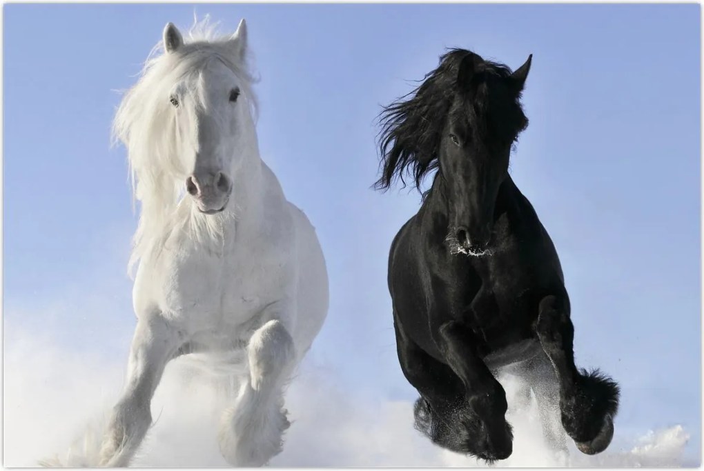 Tablou - Caii în timpul iernii (90x60 cm)