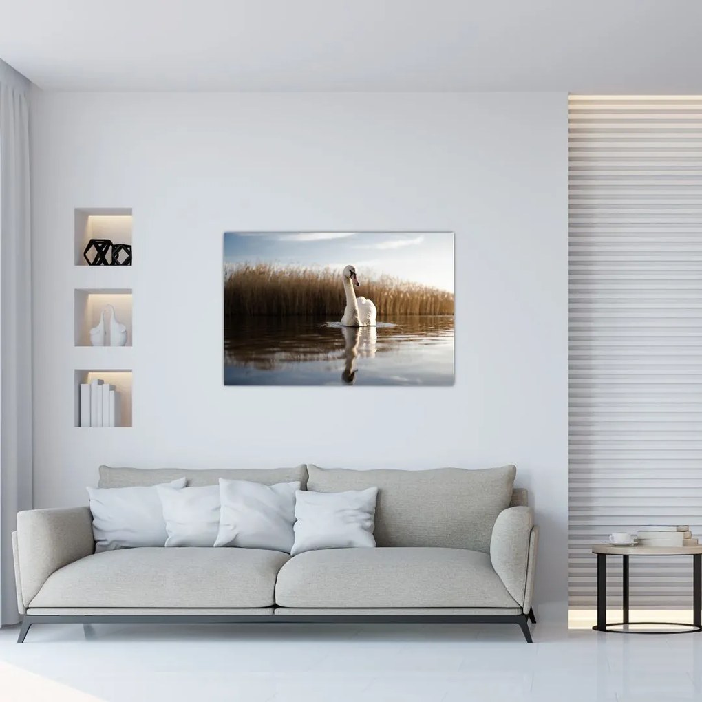 Tablou cu lebăda (90x60 cm)