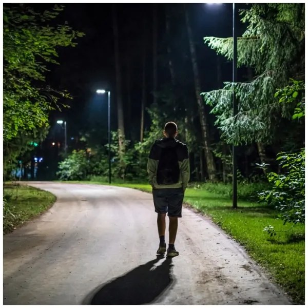 Lampă LED stradală solară cu senzor URBI LED/8W/3,2V 6500K IP54 + telecomandă