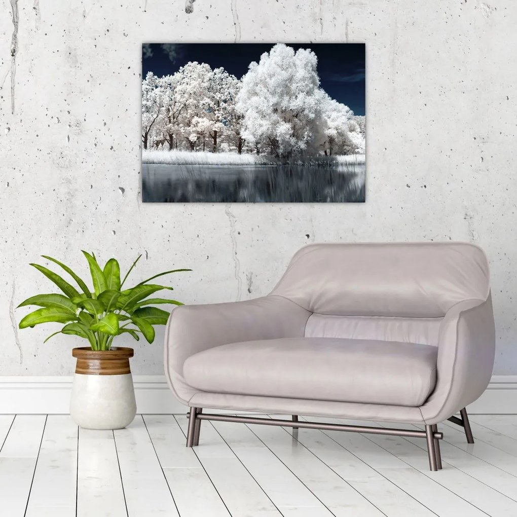 Tablou pe sticlă - Albă ca Zăpada Albă ca Zăpada Copaci (70x50 cm)