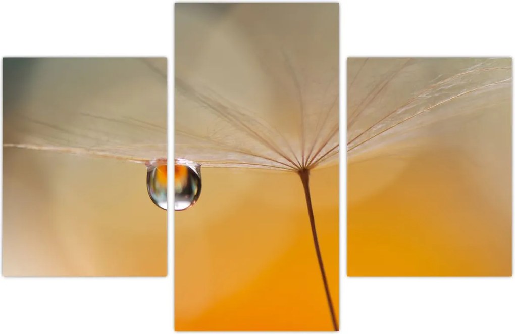 Tablou - Flori macro (90x60 cm)