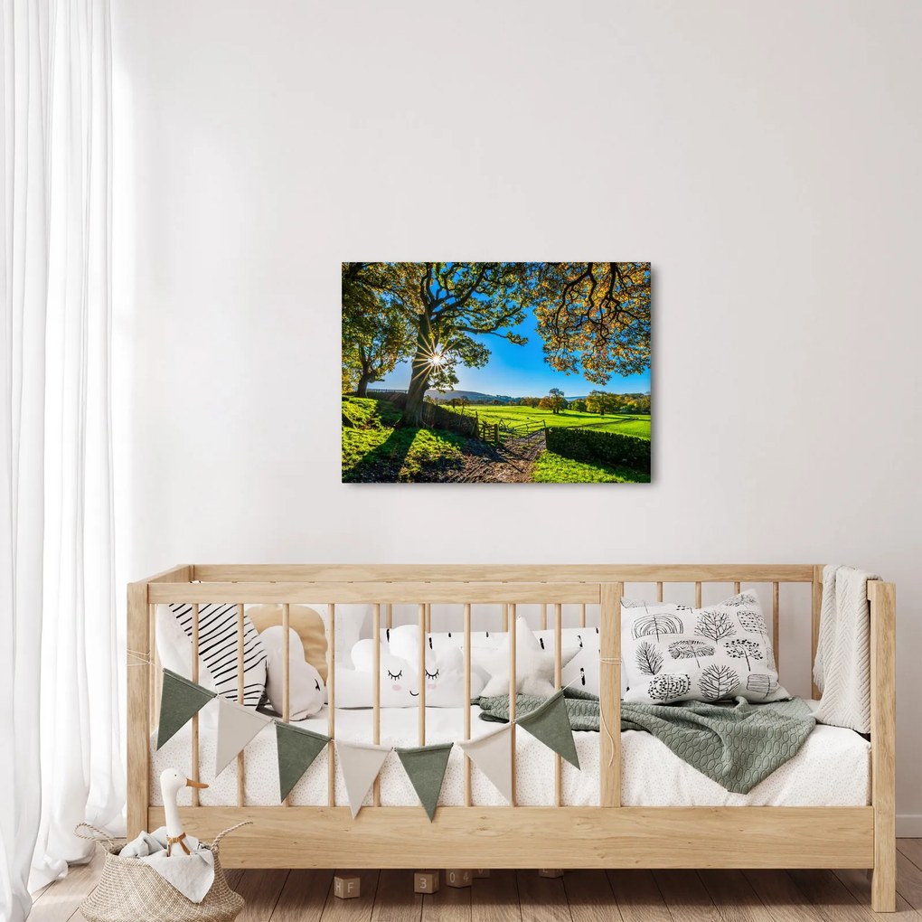 Tablou Privire la câmp (70x50 cm)