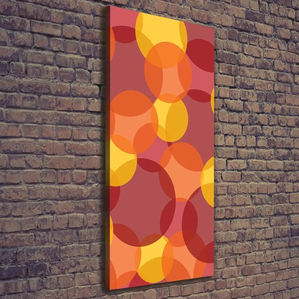 Tablou canvas Cercuri colorate