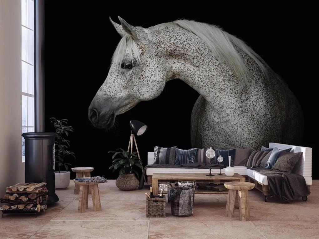 Fototapet - Calul alb (254x184 cm), în 8 de alte dimensiuni noi