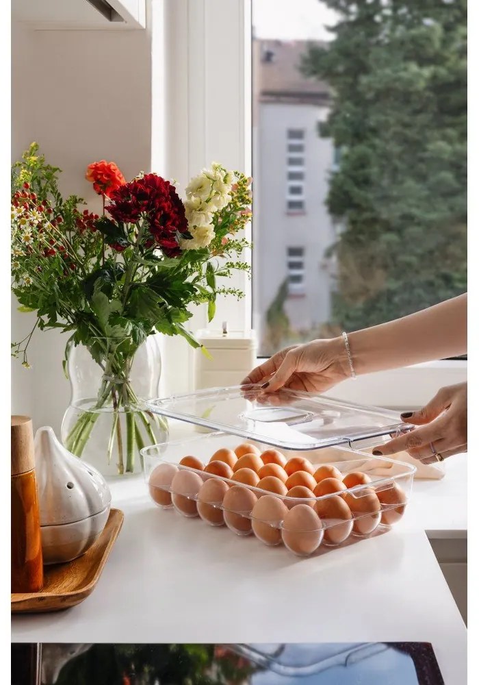 Organizator de frigider pentru ouă din plastic 33x21 cm – Casa De Engel
