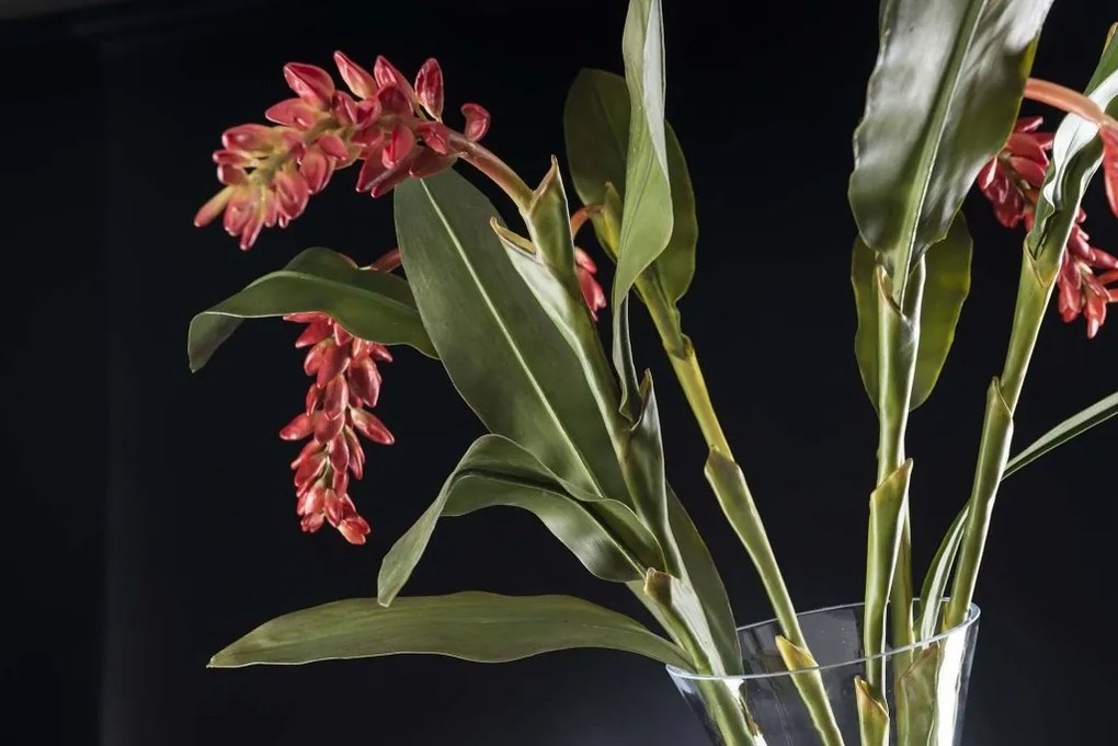 Aranjament floral elegant ETERNITY BOWL CLASSIC WEEPING 1141796.30