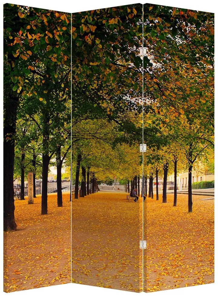 Paravan - Alee - copaci în toamnă (126x170 cm)