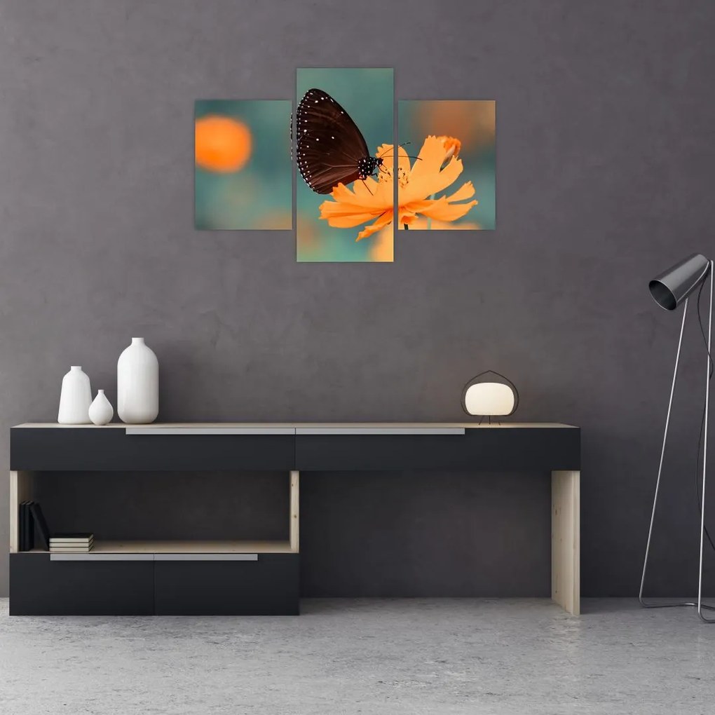 Tablou - fluture pe o floare portocalie (90x60 cm)