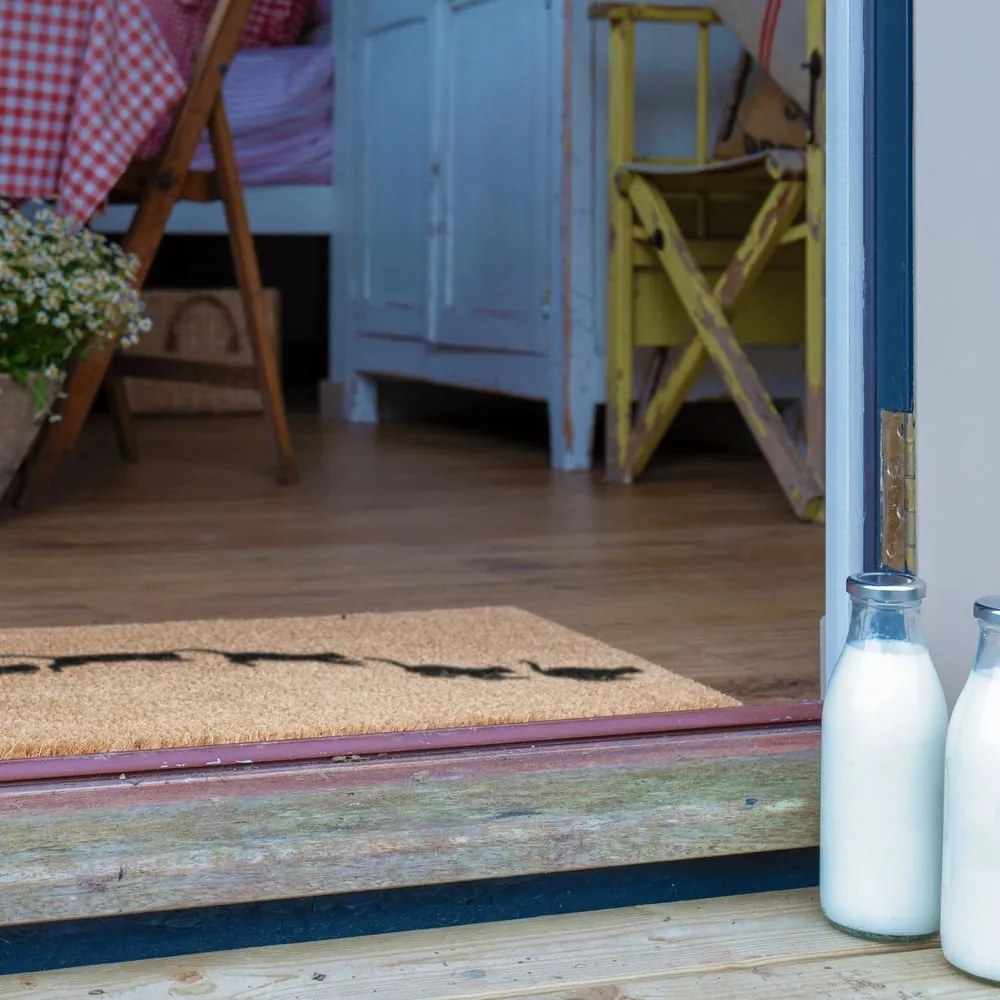 Covoraș de intrare din fibre de nucă de cocos 40x60 cm Jumping Cats – Artsy Doormats