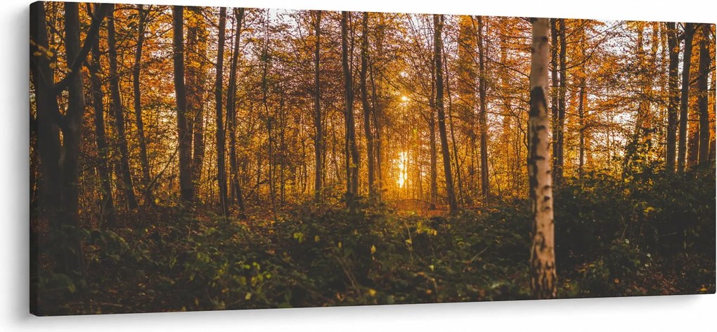 Tablou - Pădurea toamna (120x50 cm)