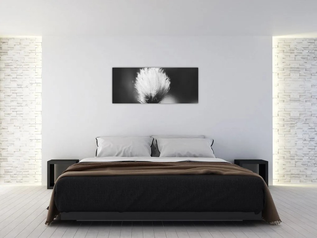 Tablou - Coțofană neagră și albă (120x50 cm)