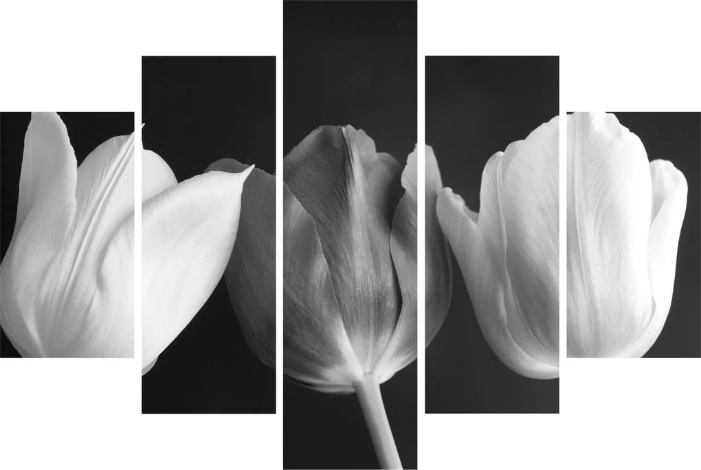 Tablou - Lalele alb negre (150x105 cm)