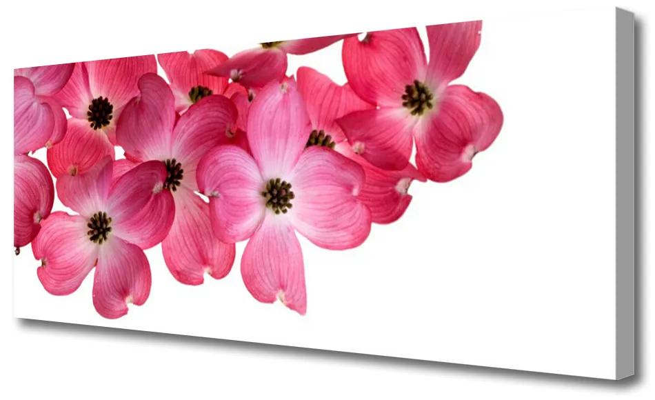 Tablou pe panza canvas Flori Floral Roz Alb