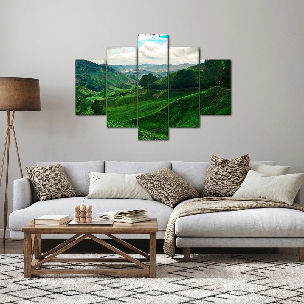 Tablou Plantații de ceai - Malaezia (150x105 cm)
