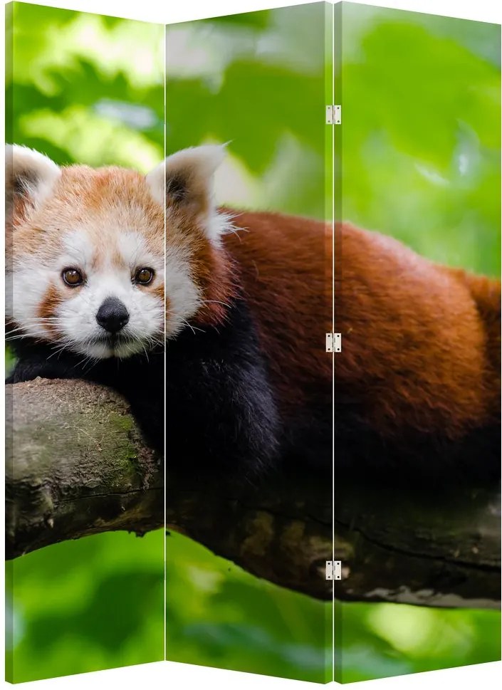 Paravan - Panda roșie (126x170 cm)