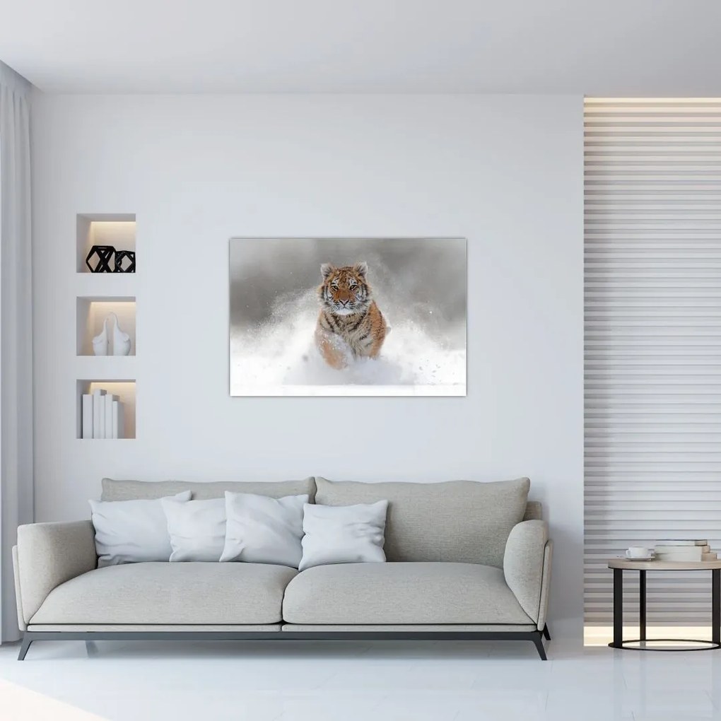 Tablou cutigru fugind prin zăpadă (90x60 cm)