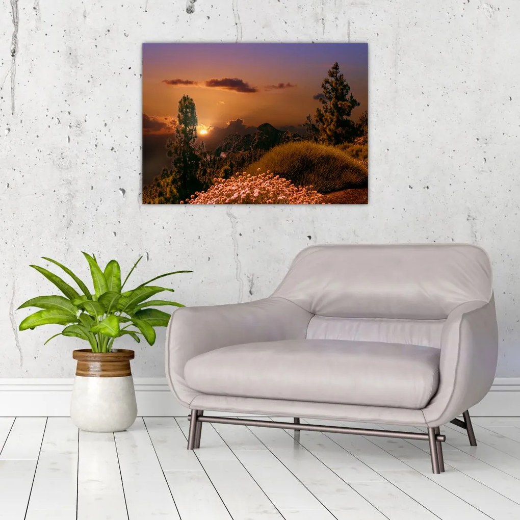 Tablou naturii cu apus de soare (70x50 cm)