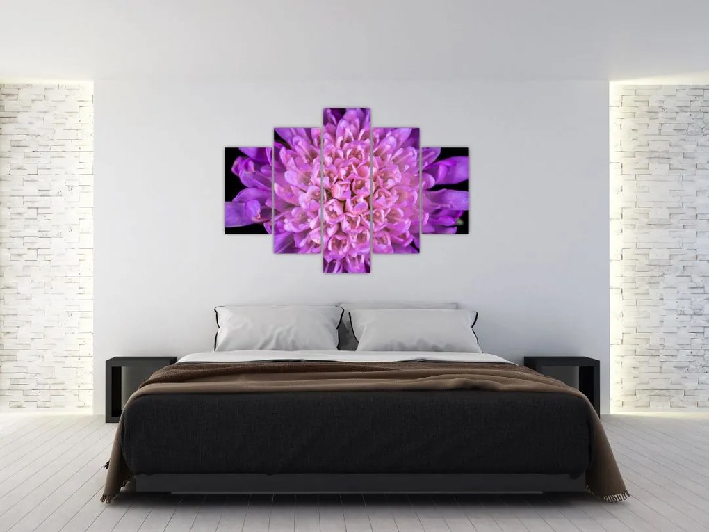 Tablou detailat cu floare (150x105 cm)