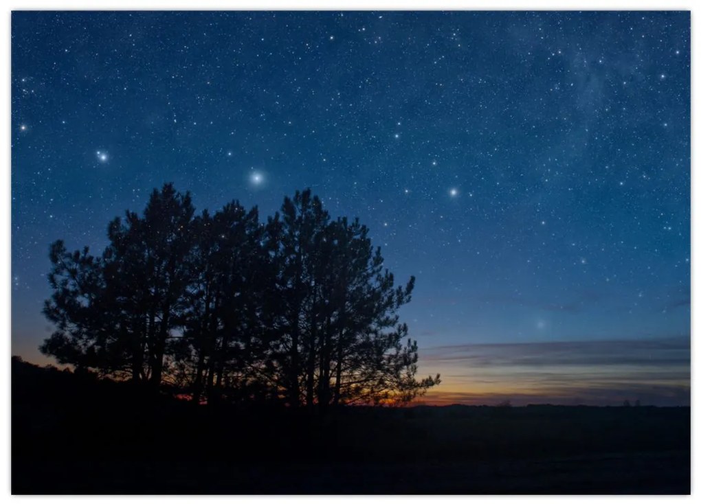 Tablou cu copaci noapte (70x50 cm)