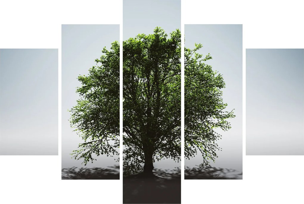 Tablou - Copacul singuratic (150x105 cm)