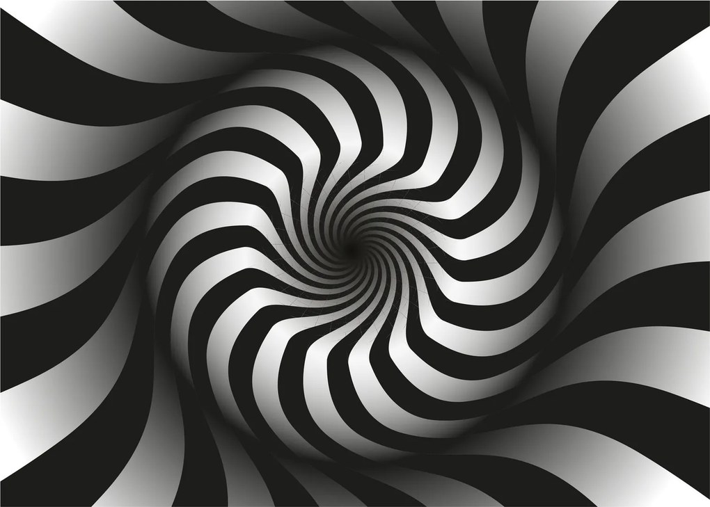 Tablou abstract cu spirala alb neagră (70x50 cm)