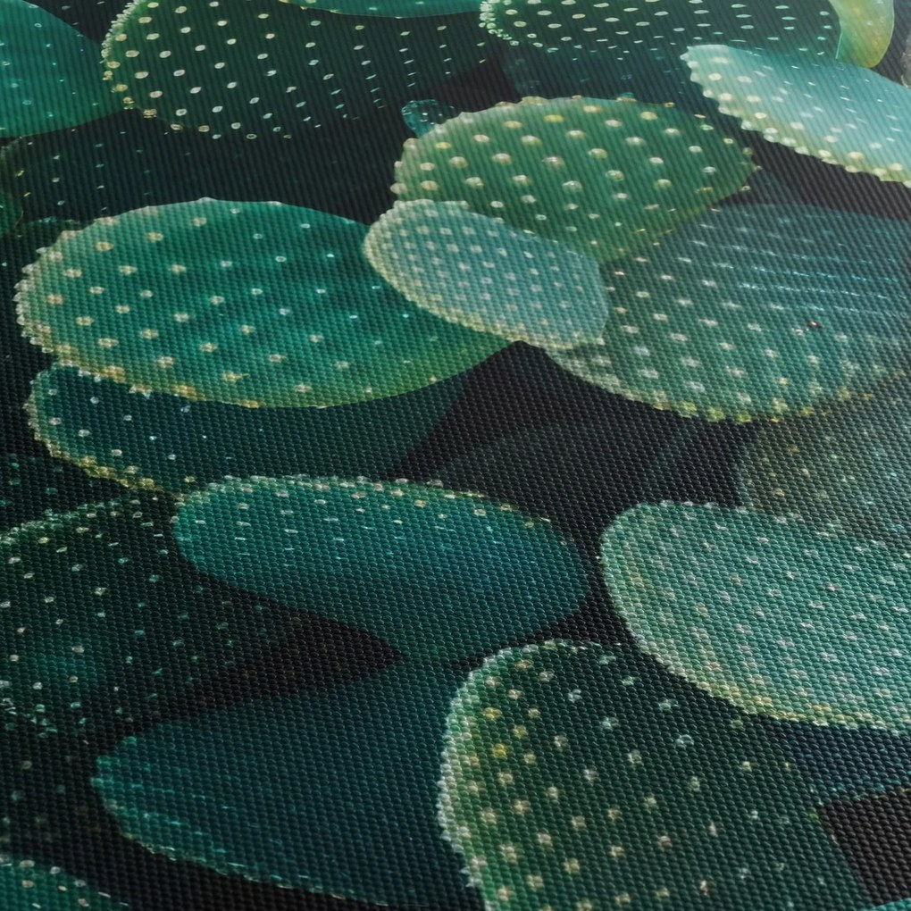 Tablou - Opuntia (150x105 cm)