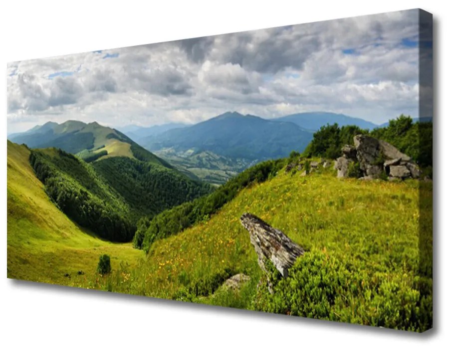 Tablou pe panza canvas Mountain Meadow Peisaj Verde Gri