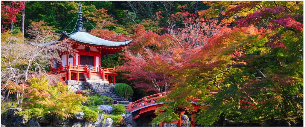 Tablou - Daigodji (120x50 cm)