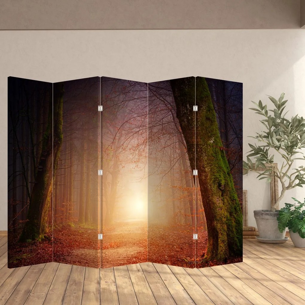 Paravan - pădurea toamna în ceață (210x170 cm)