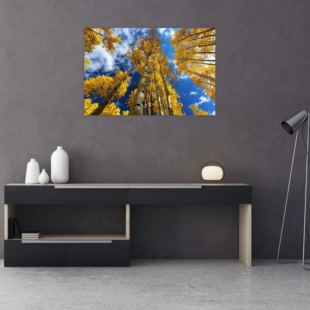 Tablou - Aspen (90x60 cm)