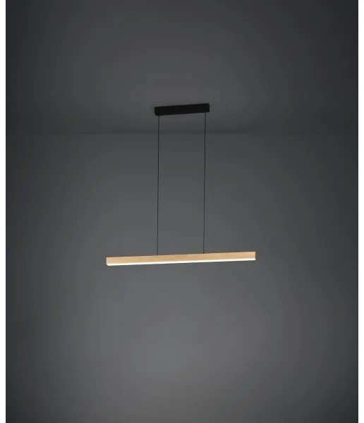 Lustră LED dimabilă pe cablu Eglo 390369 MONTEBUONO LED/21W/230V 3000K maro