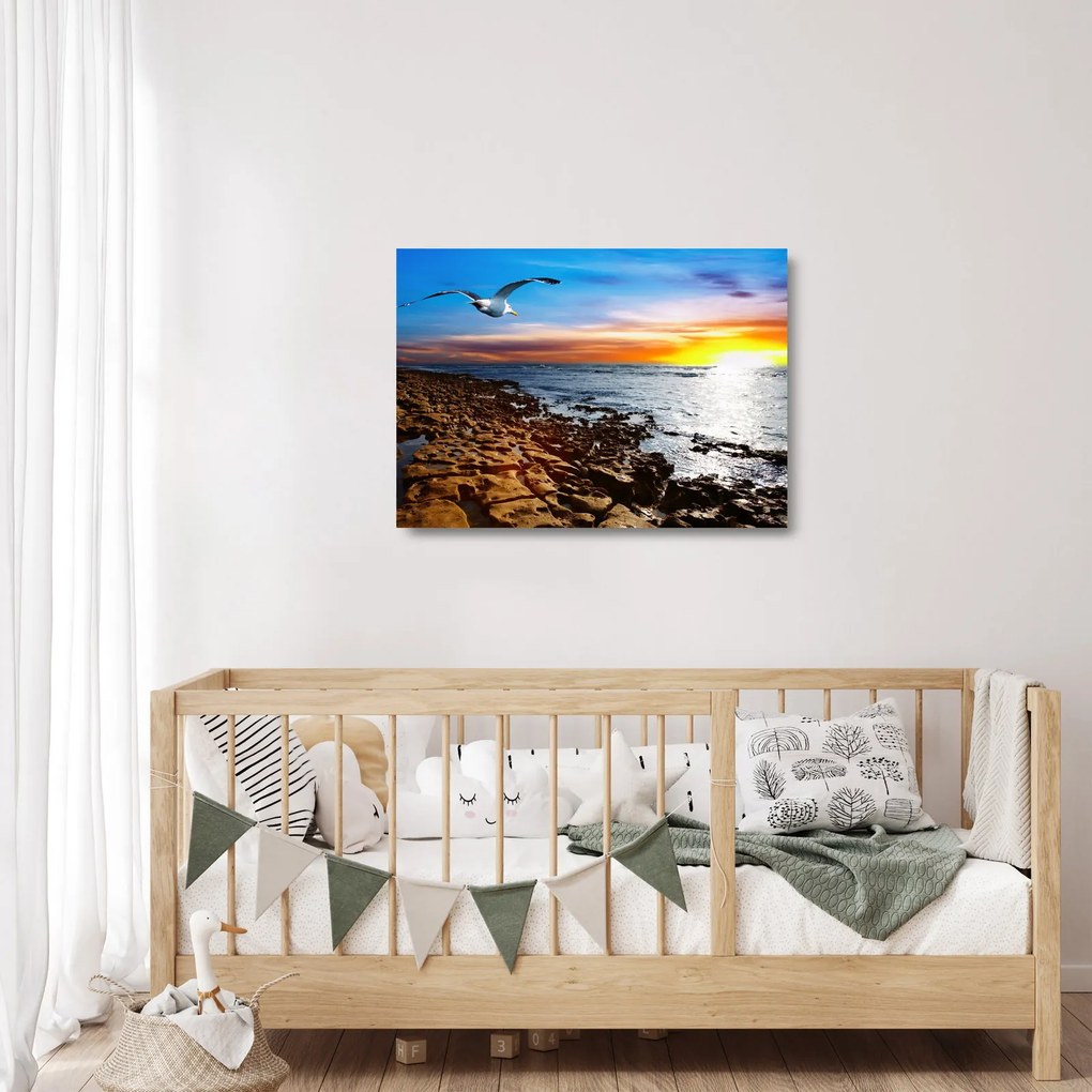 Tablou pe sticlă - Pescărușul zboară deasupra coastei (70x50 cm)