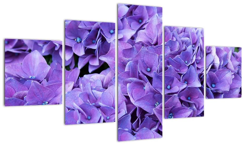 Tablou  cu flori violete (125x70 cm), în 40 de alte dimensiuni noi