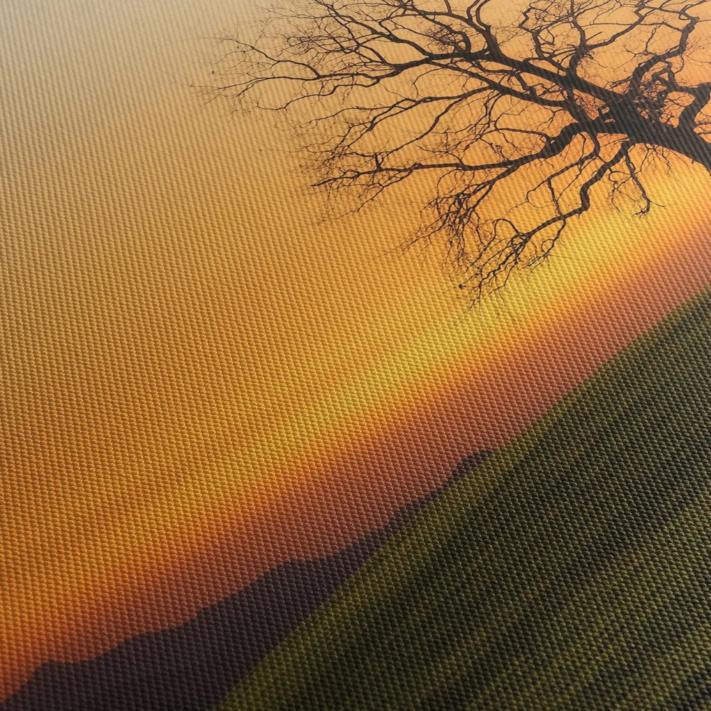 Tablou cu apus de soare pe o luncă (120x50 cm)