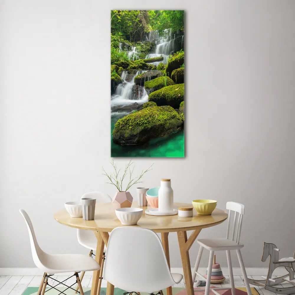 Imagine de sticlă Cascada din junglă