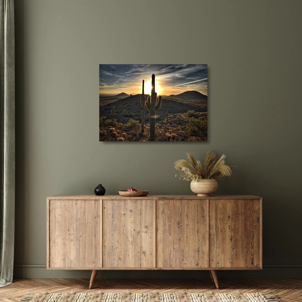 Tablou pe sticlă - cactușii la soare (70x50 cm)