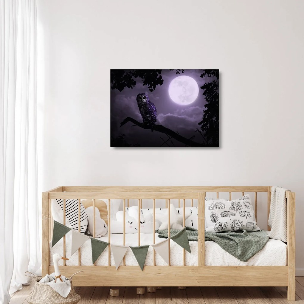 Tablou pe sticlă - Bufniță de noapte, violet (70x50 cm)