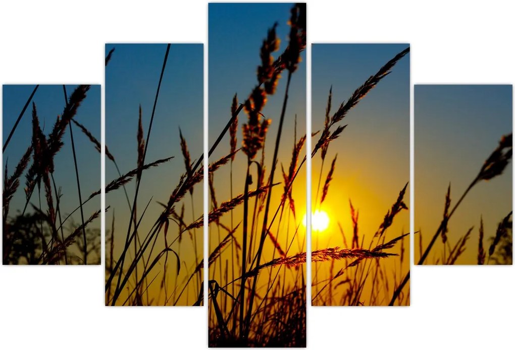 Tablou - Apus de soare pe pajiște (150x105 cm)