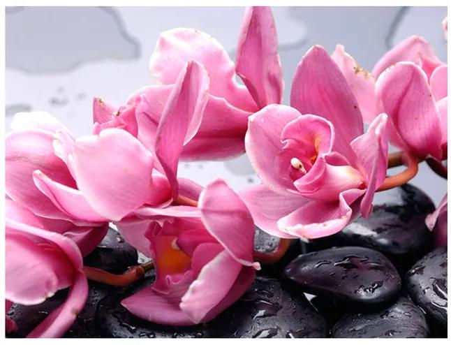 Fototapet - Orchid flowers with zen stones