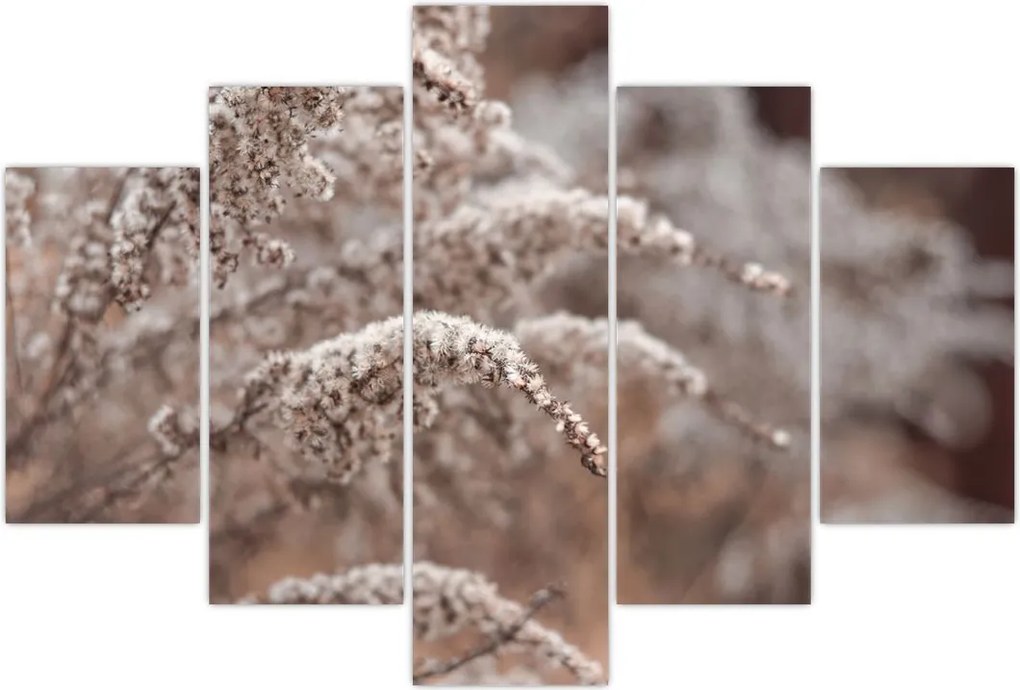 Tablou cu plante (150x105 cm)