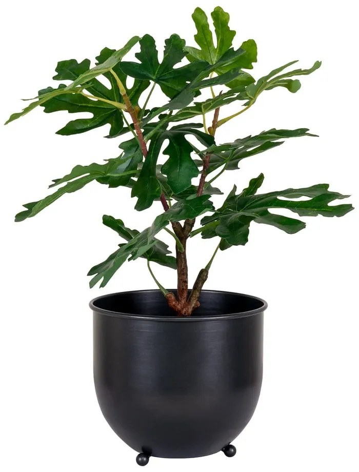 Plantă artificială (înălțime 60 cm) Fig – House Nordic